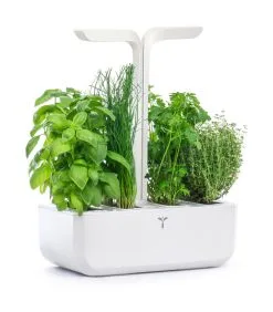 Veritable Indoor Moestuin Véritable® CLASSIC -Meubilair Geschäft 0448d8713bae48b8987ac4a023d17fea