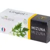 Veritable Lingot® Mizuna BIO - Voor Véritable® Indoor Moestuinen -Meubilair Geschäft 0969abed4eaf42779c3228de81f08219