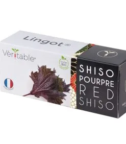 Veritable Lingot® Shiso Paars BIO - Voor Véritable® Moestuinen