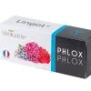 Veritable Lingot® Phlox - Voor Véritable® Indoor Moestuinen