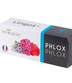 Veritable Lingot® Phlox - Voor Véritable® Indoor Moestuinen