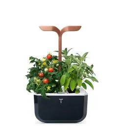 Veritable Indoor Moestuin Exky® SMART Copper