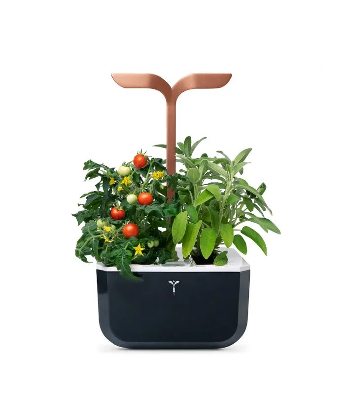 Veritable Indoor Moestuin Exky® SMART Copper 3 Veritable Indoor Moestuin Exky® SMART Copper