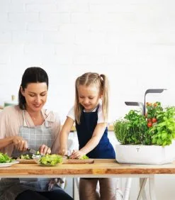 Veritable Indoor Moestuin Véritable® Connect Infinity Grey 10 Veritable Indoor Moestuin Véritable® Connect Infinity Grey -Meubilair Geschäft 1607d250863c43b6b58a980ae2c248d5