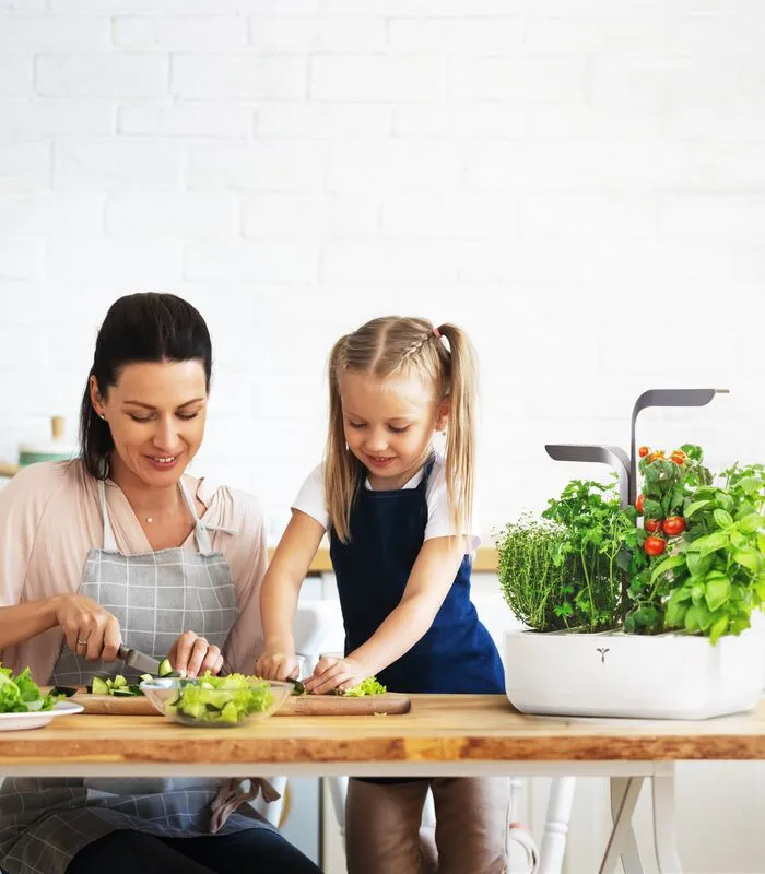 Veritable Indoor Moestuin Véritable® Connect Infinity Grey 5 Veritable Indoor Moestuin Véritable® Connect Infinity Grey - Image 3