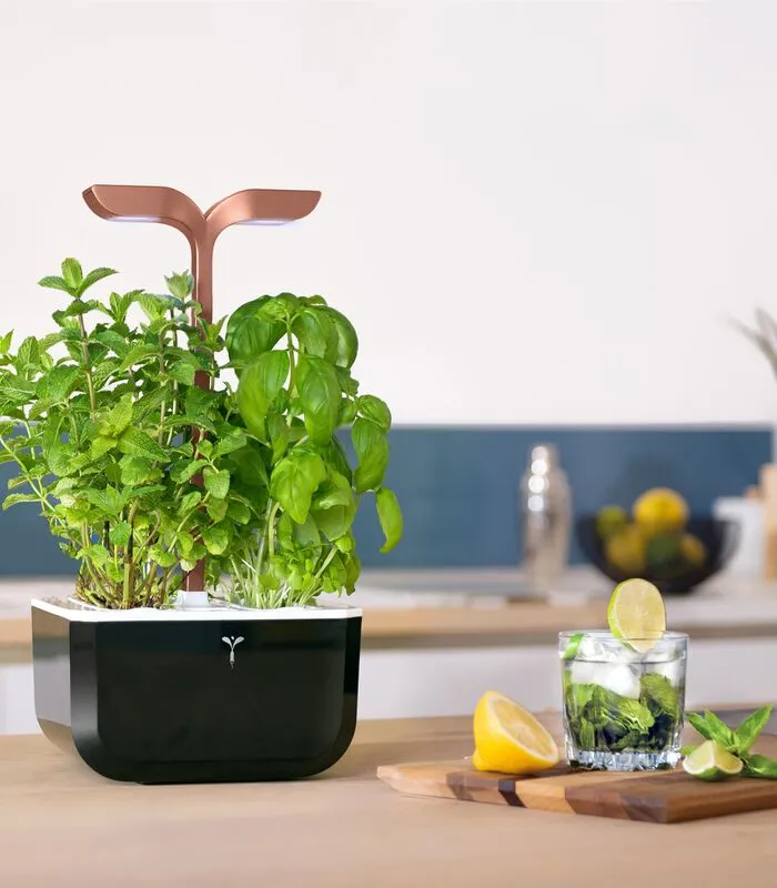 Veritable Indoor Moestuin Exky® SMART Copper 5 Veritable Indoor Moestuin Exky® SMART Copper - Image 3