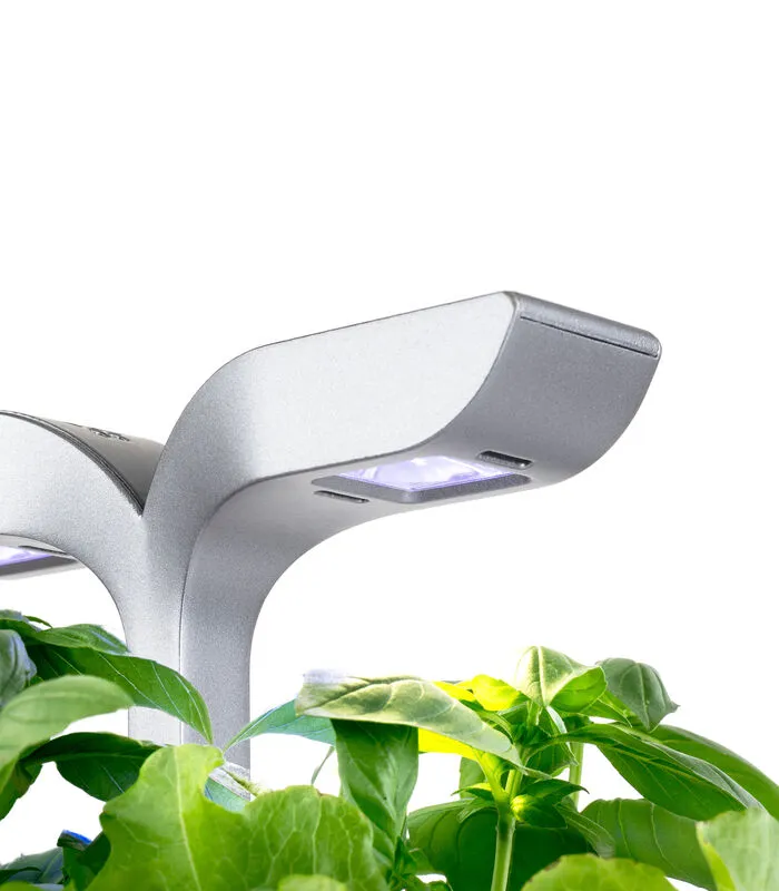 Veritable Indoor Moestuin Exky® SMART Soft Black 6 Veritable Indoor Moestuin Exky® SMART Soft Black - Image 4