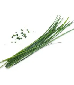 Veritable Lingot® Chinese Bieslook BIO - Voor Moestuinen -Meubilair Geschäft 1c064f48ca36424ab5f1c13386fdce89