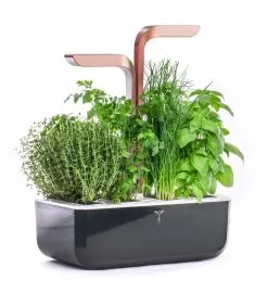 Veritable Indoor Moestuin Véritable® SMART Copper -Meubilair Geschäft 235c0062560d4841b87727c72554596a