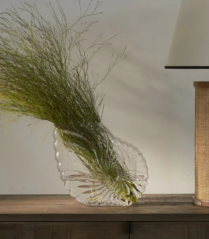 Rivièra Maison Vaas Glas, Bloemenvaas Schelp - Da Capo Schelp - Transparant 4 Rivièra Maison Vaas Glas, Bloemenvaas Schelp - Da Capo Schelp - Transparant - Image 2