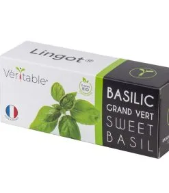 Veritable Lingot® Basilicum Groot Groen BIO - Voor Moestuinen