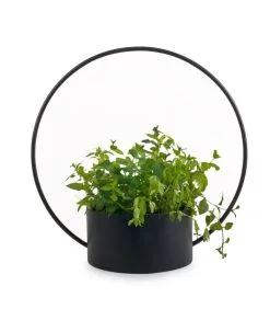 XLBoom O-COLLECTION Groot Zwart