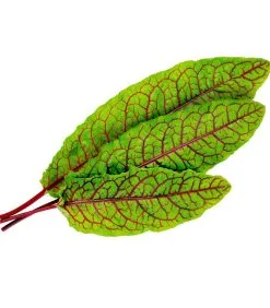 Veritable Lingot® Bloedzuring BIO - Voor Véritable® Moestuinen -Meubilair Geschäft 294627cc48644a7a8e59004120008d2c