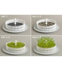 PELEG DESIGN Seed Field -Meubilair Geschäft 29ac6cfba56a40dfb800f4ac1327287b