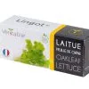 Veritable Lingot® Eikenbladsla BIO - Voor Véritable® Moestuinen