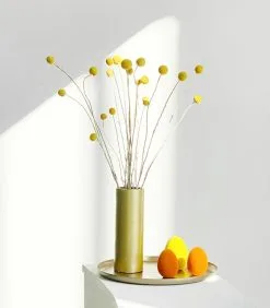 XLBoom NOELLA Vaas Medium Mat Goud -Meubilair Geschäft 3a5ead677e7c43e9812360de45091dd0