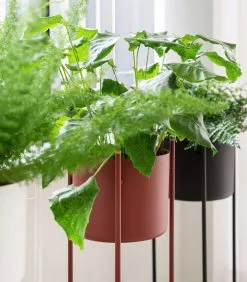 XLBoom ENT Plantenstaander Medium Zwart -Meubilair Geschäft 3d9a98ecc42344e8b8b6d079f5e2e1f1