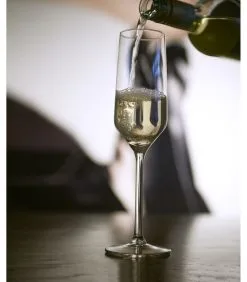 Royal Leerdam Champagneflûte 265712 Carre 22 Cl - Transparant 6 Stuk(s) -Meubilair Geschäft 481d8518f6fc4709ab7273f81fd52e12