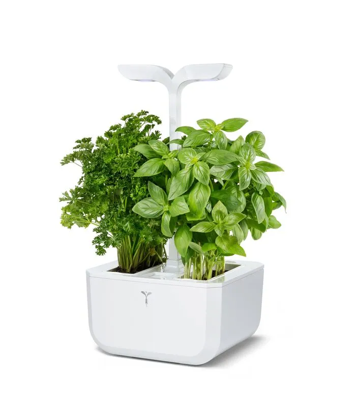 Veritable Indoor Moestuin Exky® CLASSIC 4 Veritable Indoor Moestuin Exky® CLASSIC - Image 2