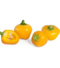 Veritable Lingot® Mini Gele Paprika BIO - Voor Moestuinen 5 Veritable Lingot® Mini Gele Paprika BIO - Voor Moestuinen -Meubilair Geschäft 4ff2fd5601be481ab7a016a92ce4031b