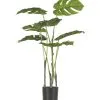 WOOOD Monstera Kunstplant - Plastic - Groen - 76x66x57