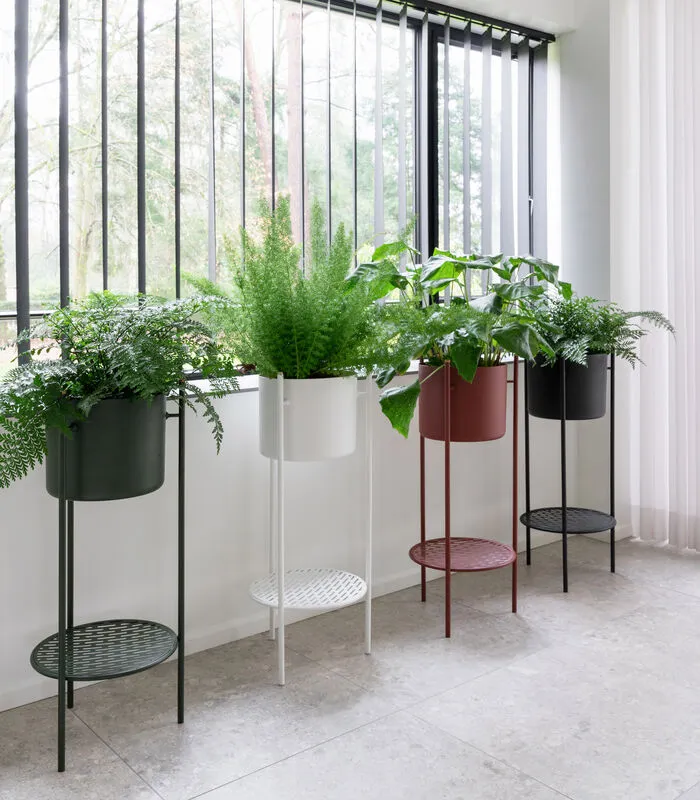 XLBoom ENT Plantenstaander Medium Groen 4 XLBoom ENT Plantenstaander Medium Groen - Image 2