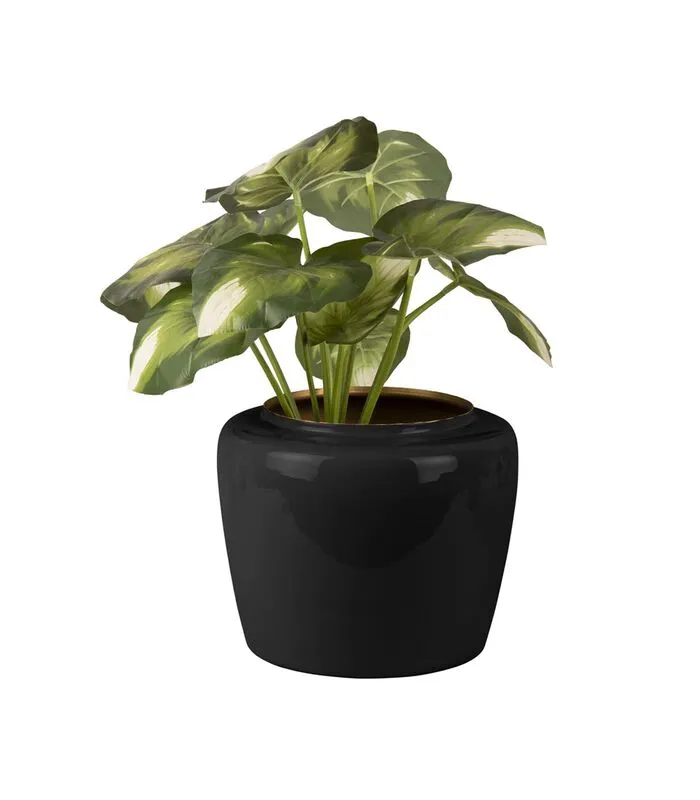 PRESENT TIME Bloempot Grand - Zwart - Ø25x20 Cm 3 PRESENT TIME Bloempot Grand - Zwart - Ø25x20 Cm - Image 2