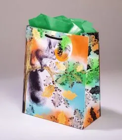 Editor Geschenkentas SquirrelL 20 X H 25 X P 10 Cm