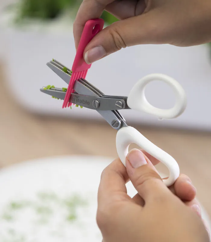 Veritable Klein Kruidenschaartje 3 Bladen - Véritable® 4 Veritable Klein Kruidenschaartje 3 Bladen - Véritable® - Image 2