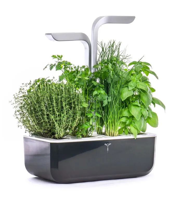 Veritable Indoor Moestuin Véritable® SMART Soft Black 4 Veritable Indoor Moestuin Véritable® SMART Soft Black - Image 2