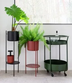 XLBoom ENT Plantenstaander Medium Groen 9 XLBoom ENT Plantenstaander Medium Groen -Meubilair GeschÀft 6809171d80b8494db646a158b0e0433c