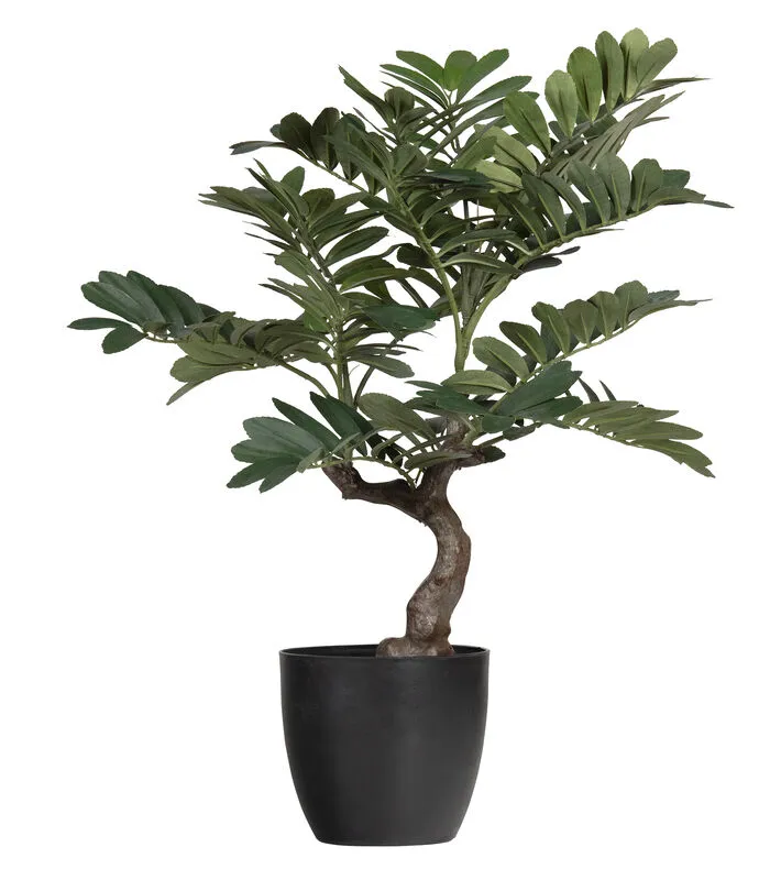 WOOOD Zamia Kunstplant - Groen - 76x68x61 3 WOOOD Zamia Kunstplant - Groen - 76x68x61