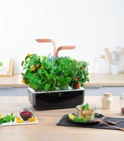 Veritable Indoor Moestuin Véritable® SMART Copper -Meubilair Geschäft 687caef6dc374e4ab6c188dc214f8e87