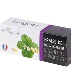 Veritable Lingot® Bosaardbei Wit - Voor Véritable® Moestuinen