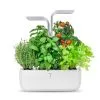 Veritable Indoor Moestuin Véritable® SMART Arctic White -Meubilair Geschäft 6e86c2445a9e4cfabc3fab502df0c5ad
