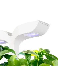 Veritable Indoor Moestuin Exky® CLASSIC 10 Veritable Indoor Moestuin Exky® CLASSIC -Meubilair Geschäft 73d8c69ed97044fe9224c6d4712032b6