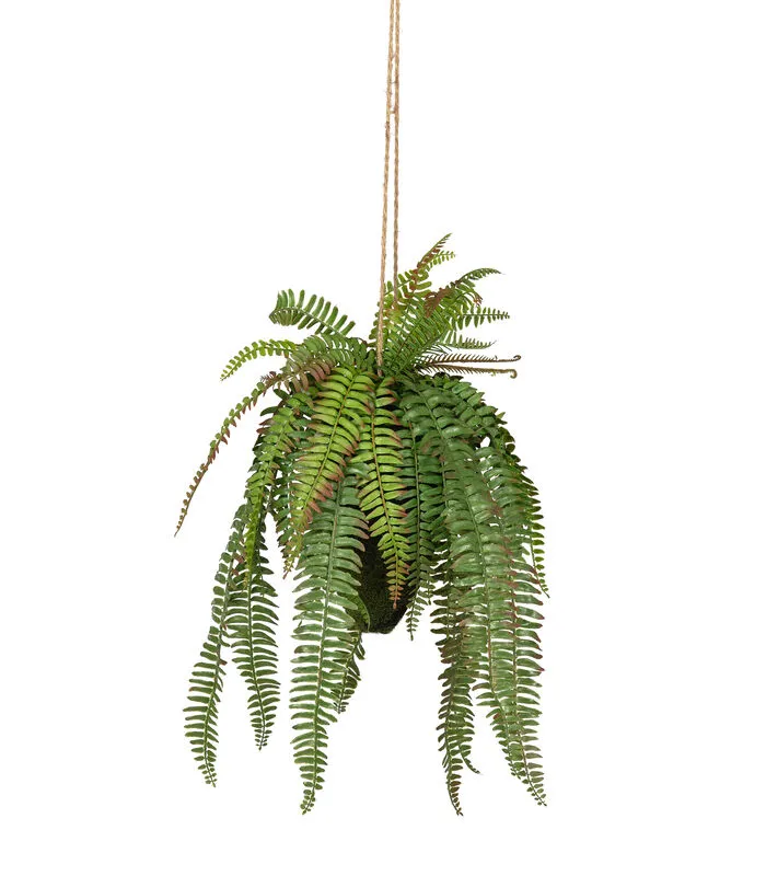 WOOOD Varen Hangende Kunstplant - Groen - 30x58x30 3 WOOOD Varen Hangende Kunstplant - Groen - 30x58x30