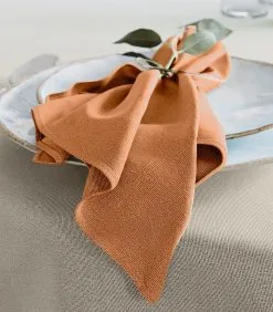 Mistral Home Set Van 4 Servetten Katoen Polyester -Meubilair Geschäft 79802453df004eb8b13cf9f7cc37e817