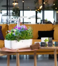 Veritable Indoor Moestuin Véritable® SMART Arctic White -Meubilair Geschäft 8869fdf128134adb9f129dd539b7bd17