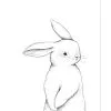 Lilipinso BUNNY - Kinderposter - Voor Konijn -Meubilair Geschäft 886ae0f24778403a8ffa6475d2b42221