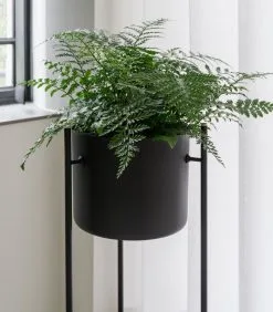 XLBoom ENT Plantenstaander Medium Groen 8 XLBoom ENT Plantenstaander Medium Groen -Meubilair GeschÀft 89e66e98526e4cffbd781936e0d917e2