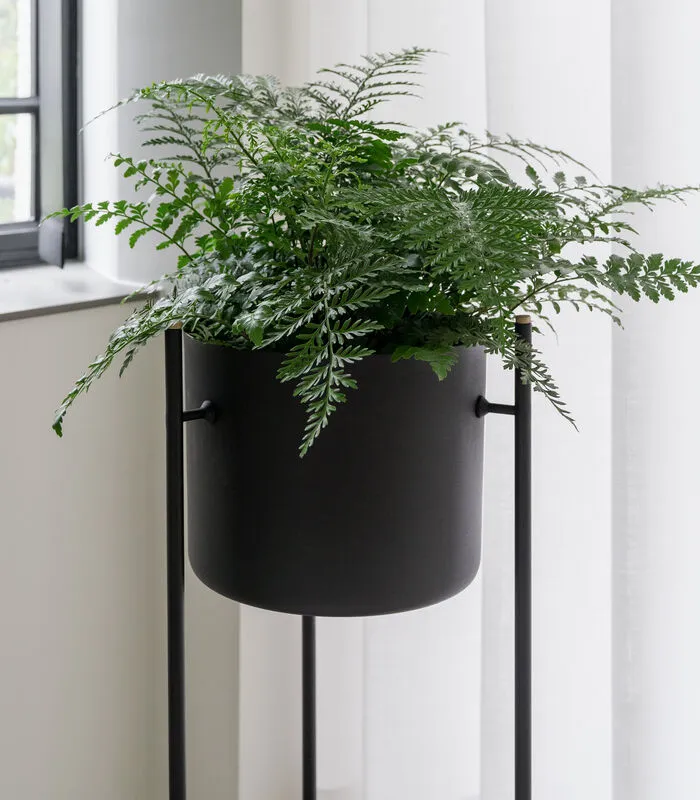 XLBoom ENT Plantenstaander Medium Groen 5 XLBoom ENT Plantenstaander Medium Groen - Image 3