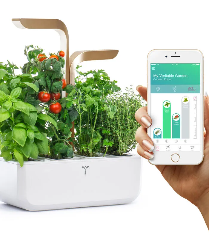 Veritable Indoor Moestuin Véritable® Connect Moonlight Gold 3 Veritable Indoor Moestuin Véritable® Connect Moonlight Gold