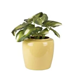 PRESENT TIME Bloempot Grand - Groen - Ø25x23,5cm -Meubilair Geschäft 8e0dffd4f8a34453af44fbe53f95c22b