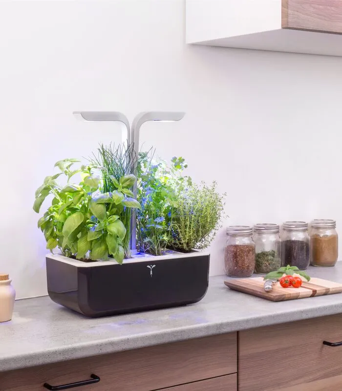 Veritable Indoor Moestuin Véritable® SMART Soft Black 5 Veritable Indoor Moestuin Véritable® SMART Soft Black - Image 3