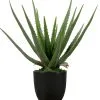 WOOOD Aloe Vera Kunstplant - Groen - 46x14x14 -Meubilair Geschäft 925b88c4988749a4bbc163742fc37f12