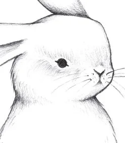 Lilipinso BUNNY - Kinderposter - Voor Konijn -Meubilair Geschäft 9844622128f249b1b3075d29d6233da7