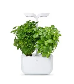 Veritable Indoor Moestuin Exky® CLASSIC