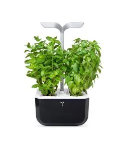 Veritable Indoor Moestuin Exky® SMART Soft Black