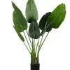 WOOOD Strelitzia Kunstplant - Groen - 61x108x50
